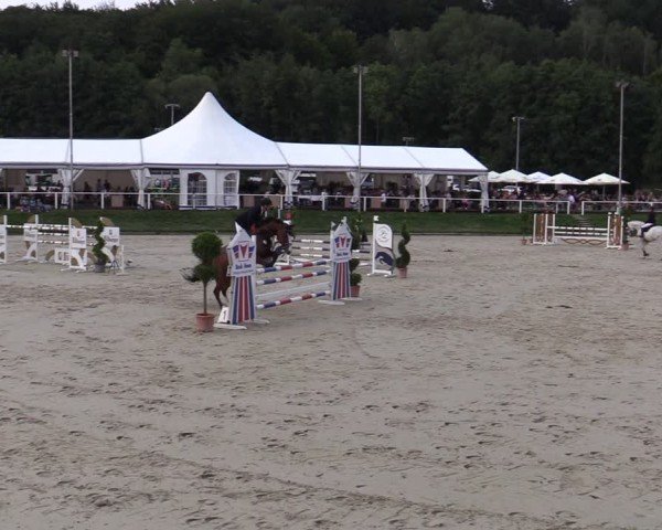 Reitturnier Bergisch Gladbach - Hebborner Hof 2024