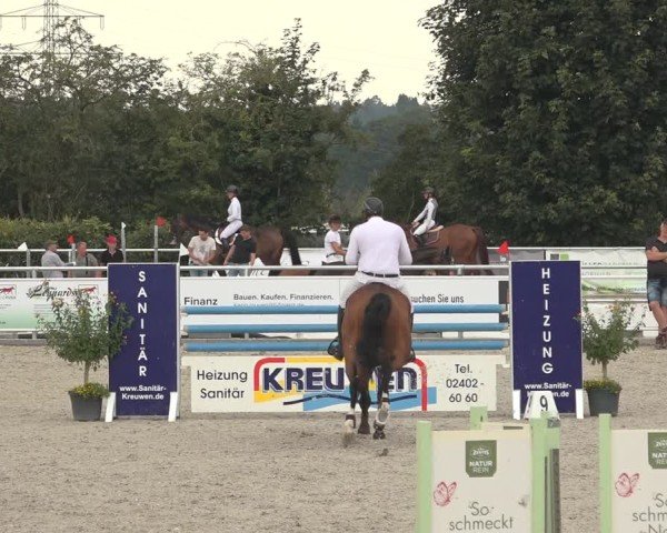 Reitturnier Stolberg-Büsbach 2024