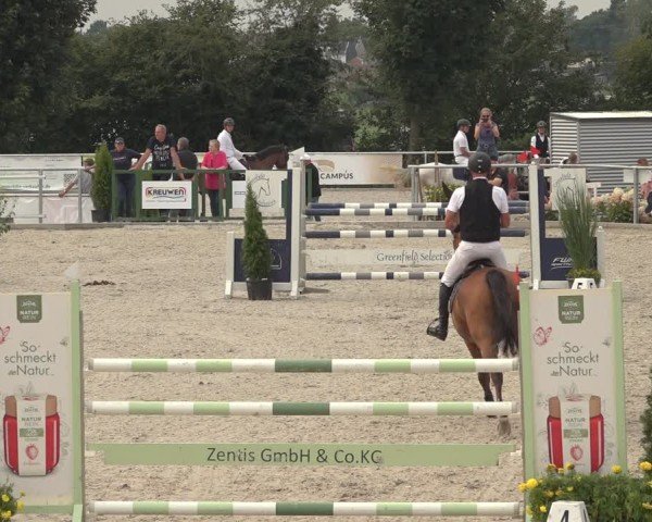 Reitturnier Stolberg-Büsbach 2024
