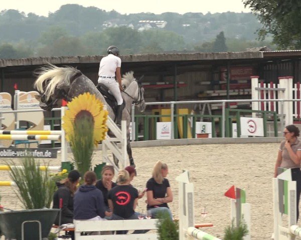 Reitturnier Stolberg-Büsbach 2024