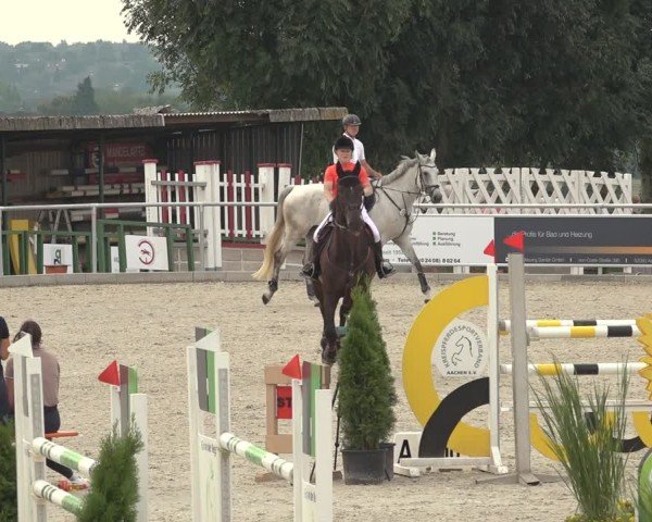 Reitturnier Stolberg-Büsbach 2024