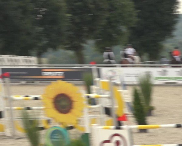 Reitturnier Stolberg-Büsbach 2024