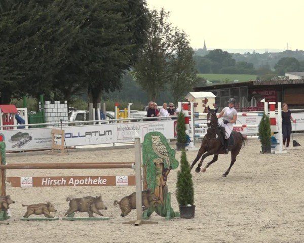 Reitturnier Stolberg-Büsbach 2024