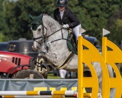 jumper Coralie 51 (Oldenburg show jumper, 2017, from Casiro I)