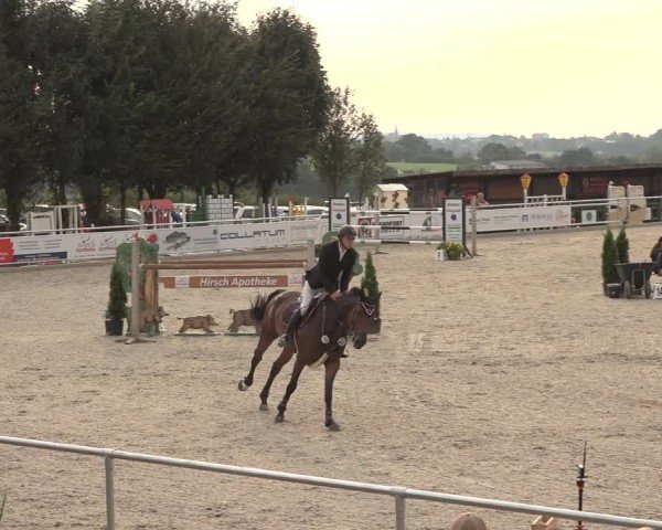 Reitturnier Stolberg-Büsbach 2024