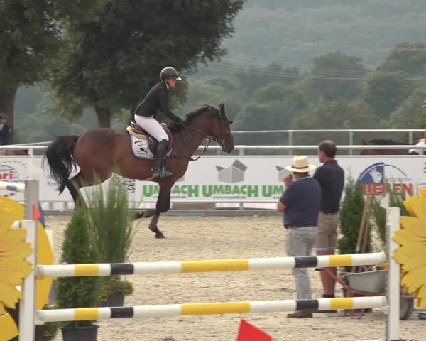 Reitturnier Stolberg-Büsbach 2024