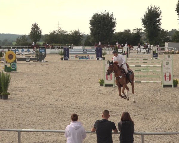 Reitturnier Stolberg-Büsbach 2024