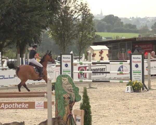 Reitturnier Stolberg-Büsbach 2024