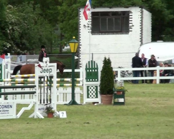 Reitturnier Düren 2013