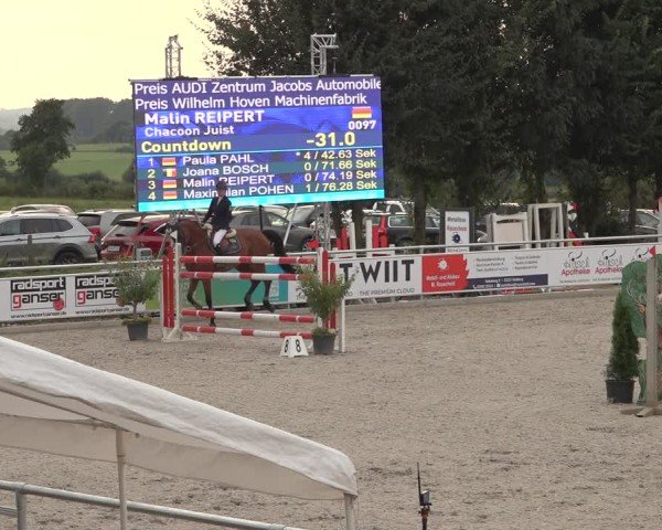 Reitturnier Stolberg-Büsbach 2024