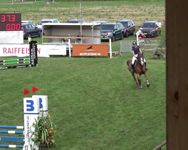 Reitturnier Aadorf 2024
