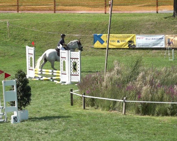 Reitturnier Aadorf 2024