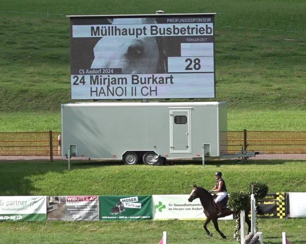 Reitturnier Aadorf 2024