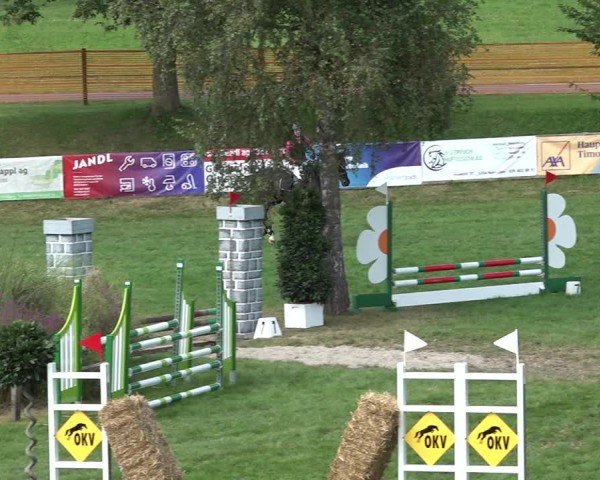 Reitturnier Aadorf 2024