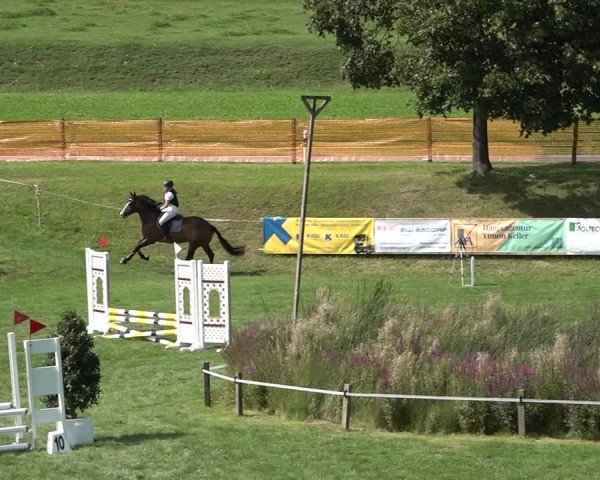 Reitturnier Aadorf 2024