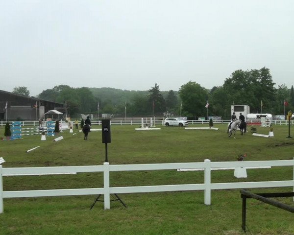 Veranstaltung RuFV Deutschritter Düren 2013
