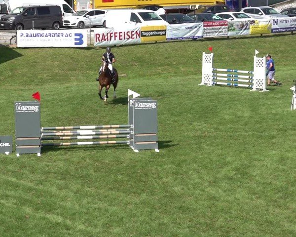 Reitturnier Aadorf 2024