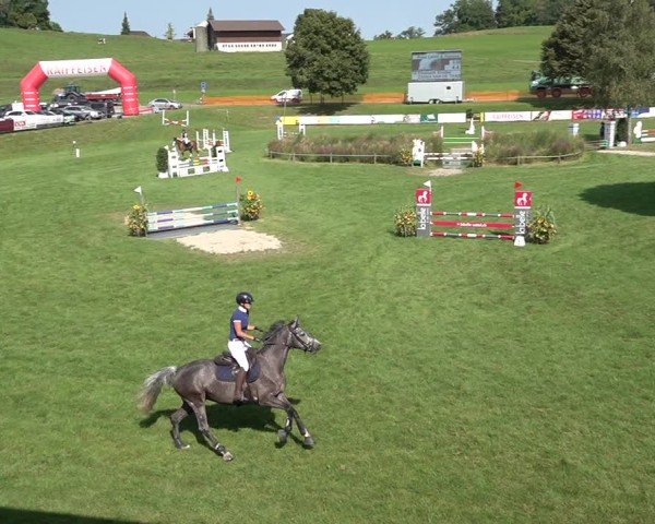 Reitturnier Aadorf 2024