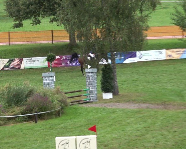 Reitturnier Aadorf 2024