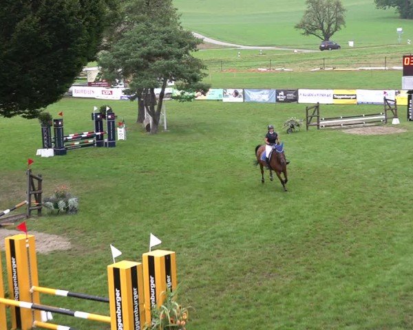 Reitturnier Aadorf 2024