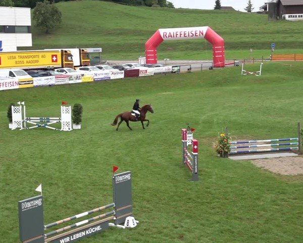 Reitturnier Aadorf 2024