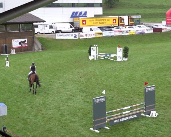 Reitturnier Aadorf 2024