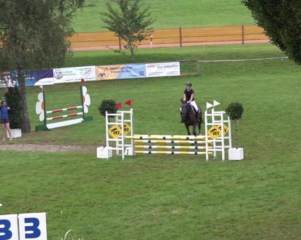 Reitturnier Aadorf 2024
