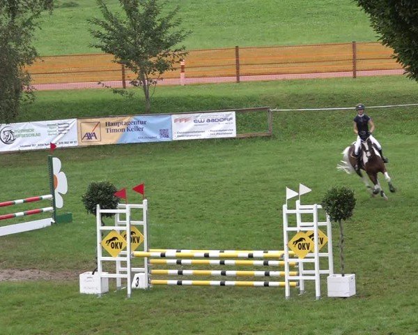 Reitturnier Aadorf 2024