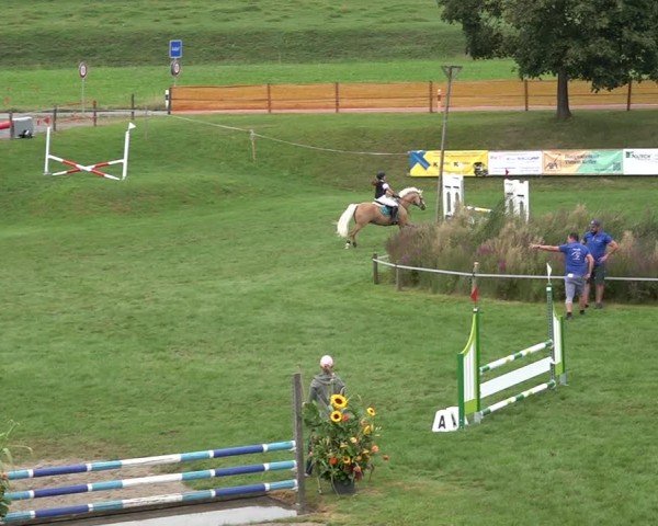 Reitturnier Aadorf 2024