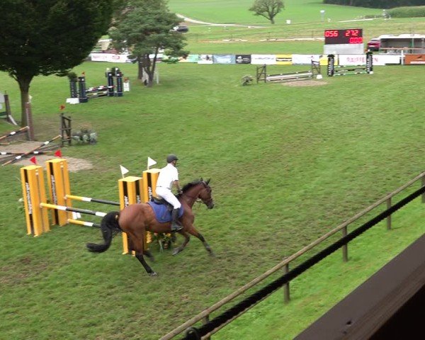 Reitturnier Aadorf 2024