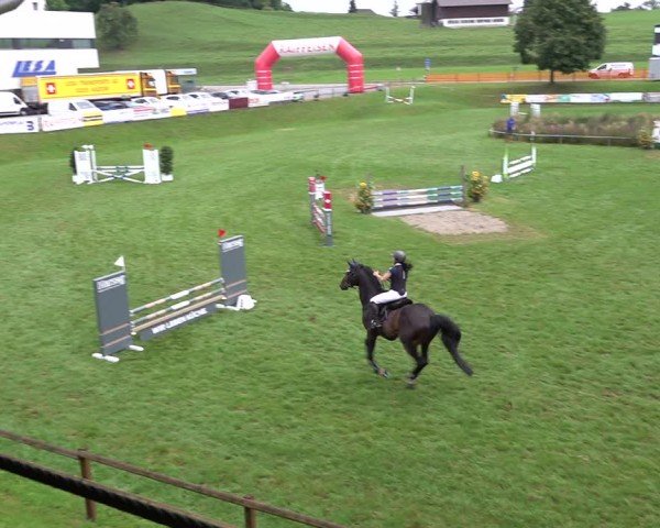 Reitturnier Aadorf 2024