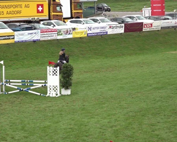 Reitturnier Aadorf 2024