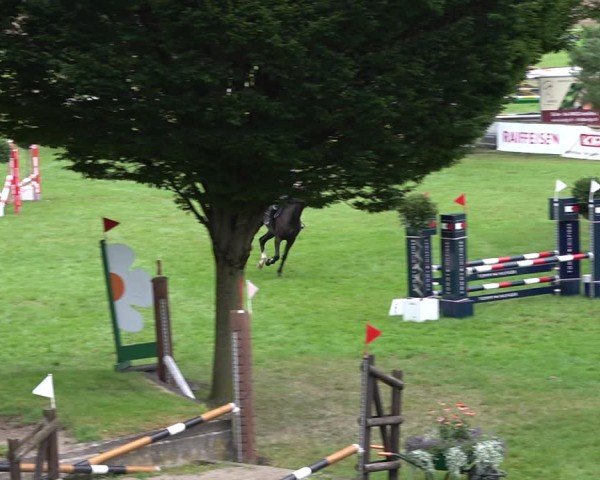 Reitturnier Aadorf 2024