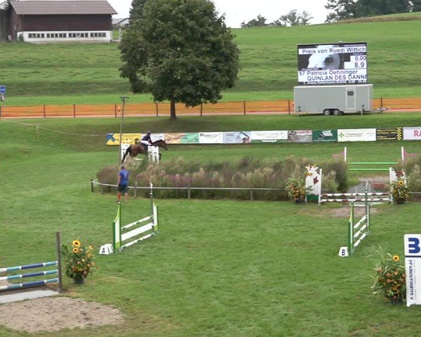 Reitturnier Aadorf 2024