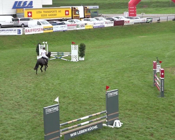 Reitturnier Aadorf 2024