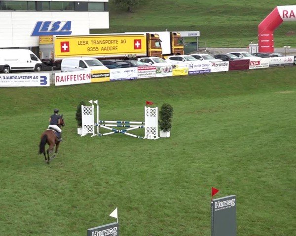 Reitturnier Aadorf 2024