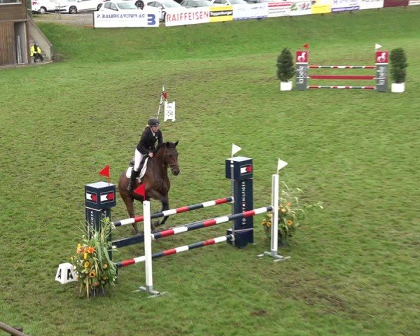 Reitturnier Aadorf 2024