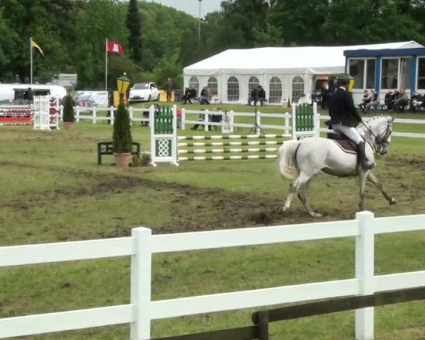 Reitturnier Düren 2013