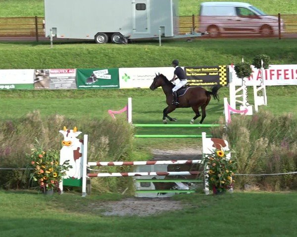 Reitturnier Aadorf 2024