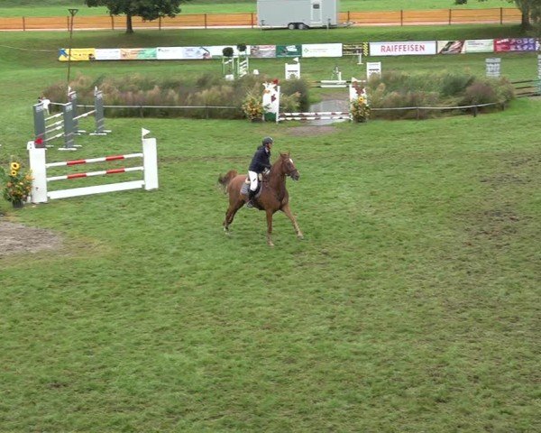 Reitturnier Aadorf 2024