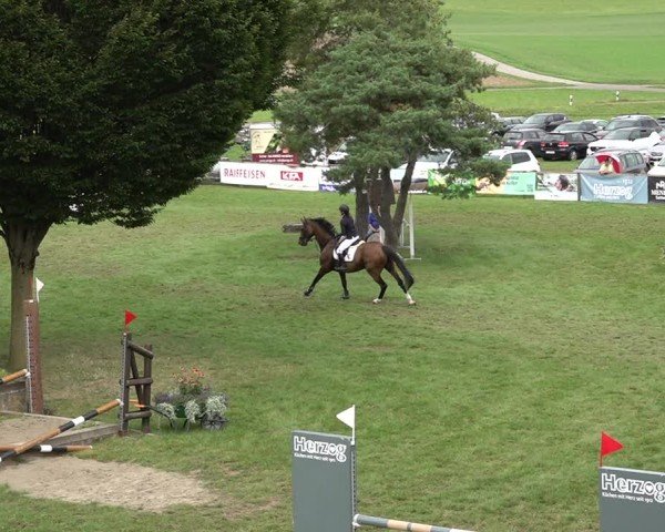 Reitturnier Aadorf 2024