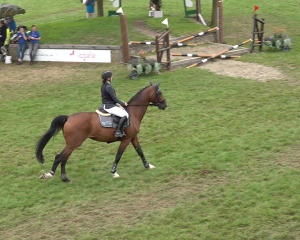 Reitturnier Aadorf 2024