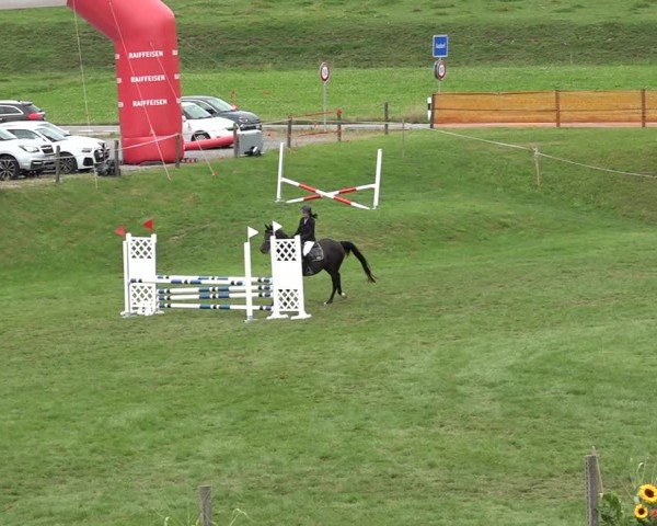 Reitturnier Aadorf 2024