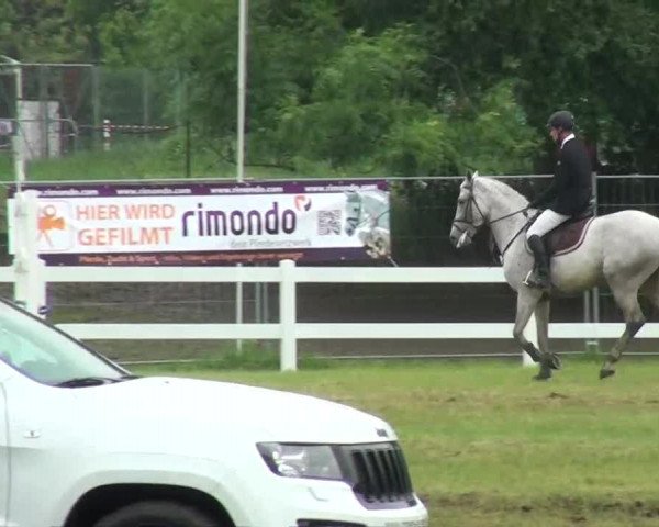 Reitturnier Düren 2013