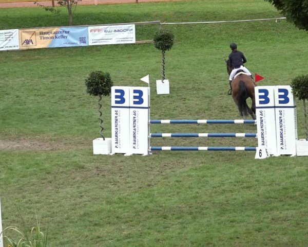Reitturnier Aadorf 2024
