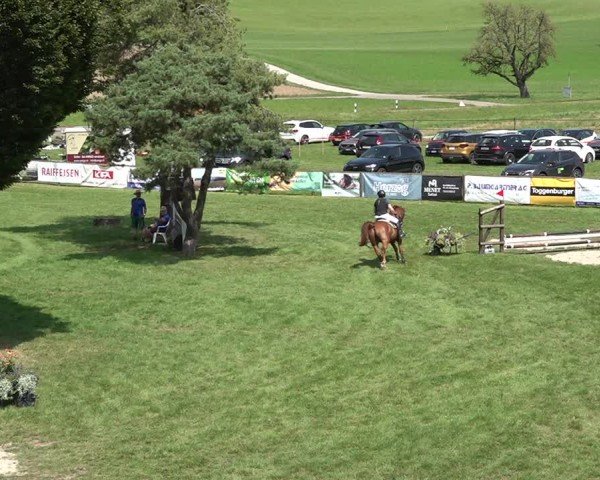 Reitturnier Aadorf 2024