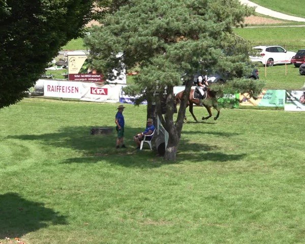 Reitturnier Aadorf 2024