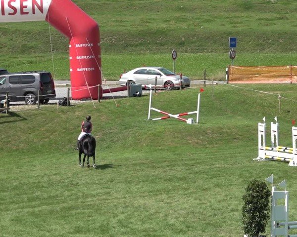 Reitturnier Aadorf 2024