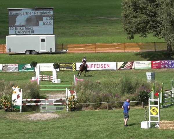 Reitturnier Aadorf 2024