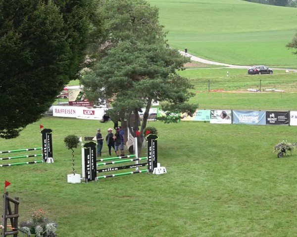 Reitturnier Aadorf 2024